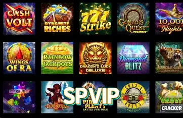 FAQ SPVIP Brasil