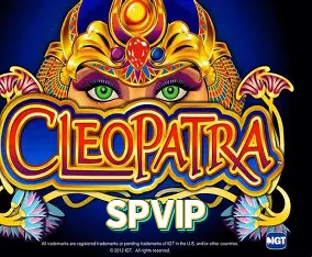 Cash Out SPVIP